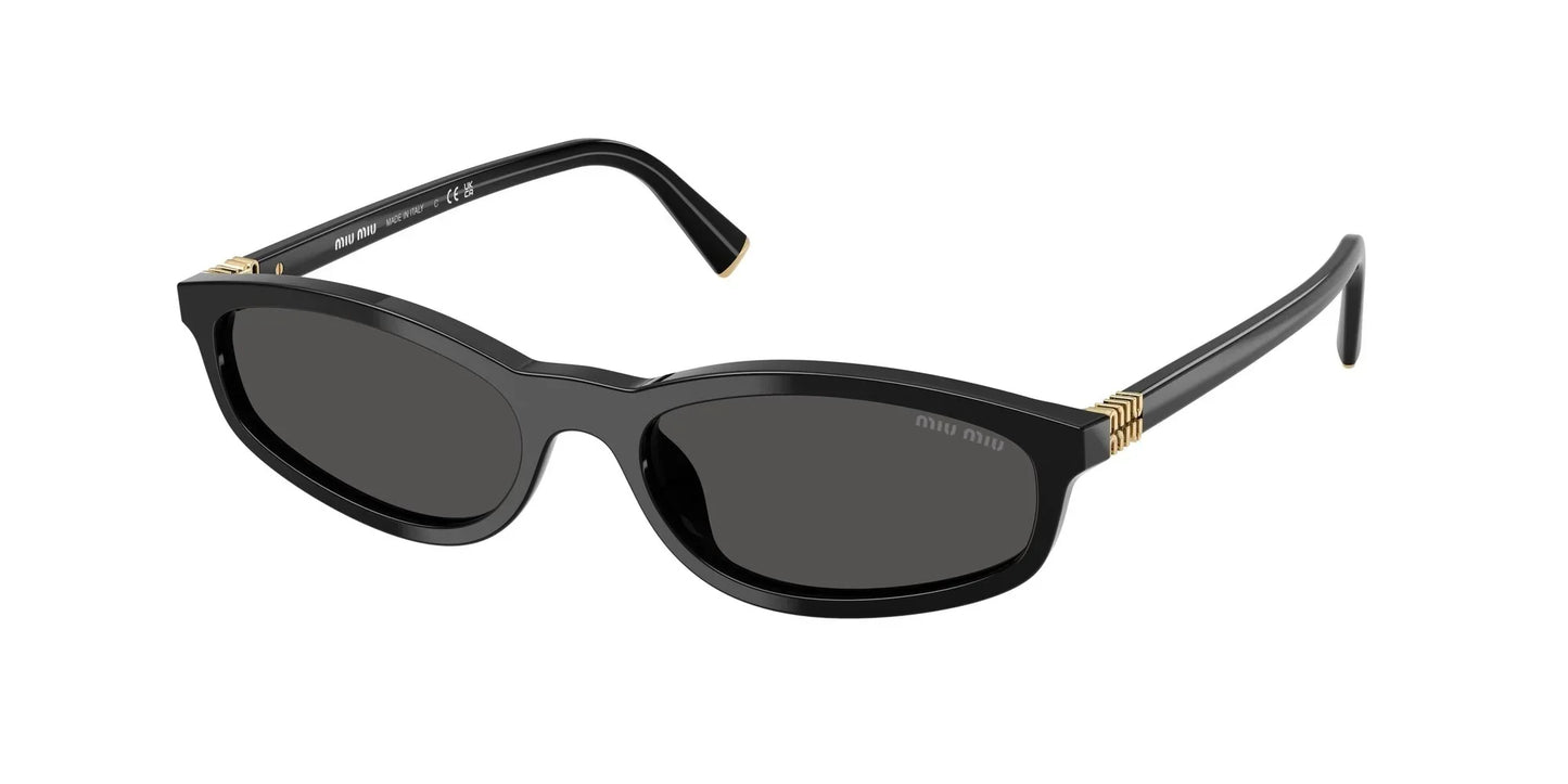 A06S Sunglasses