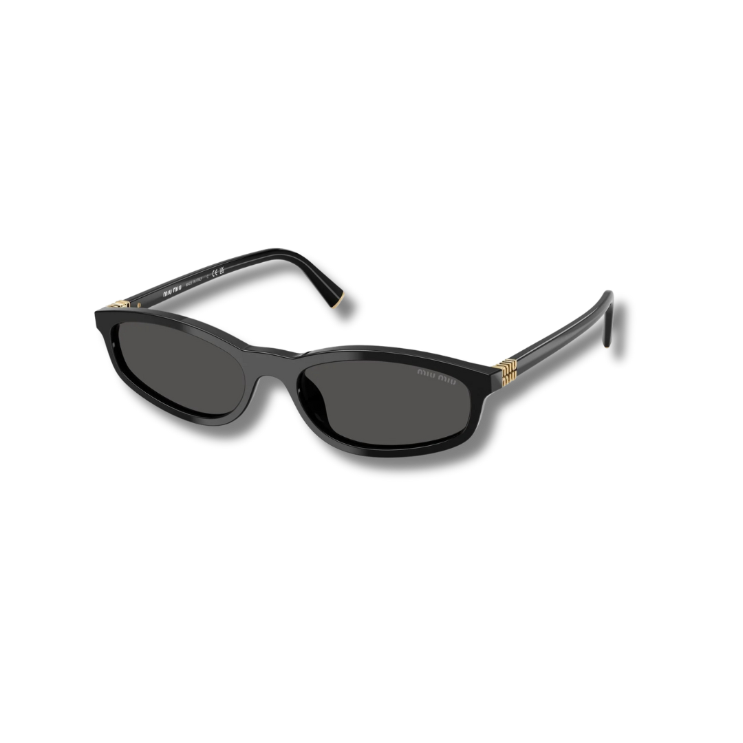A06S Sunglasses
