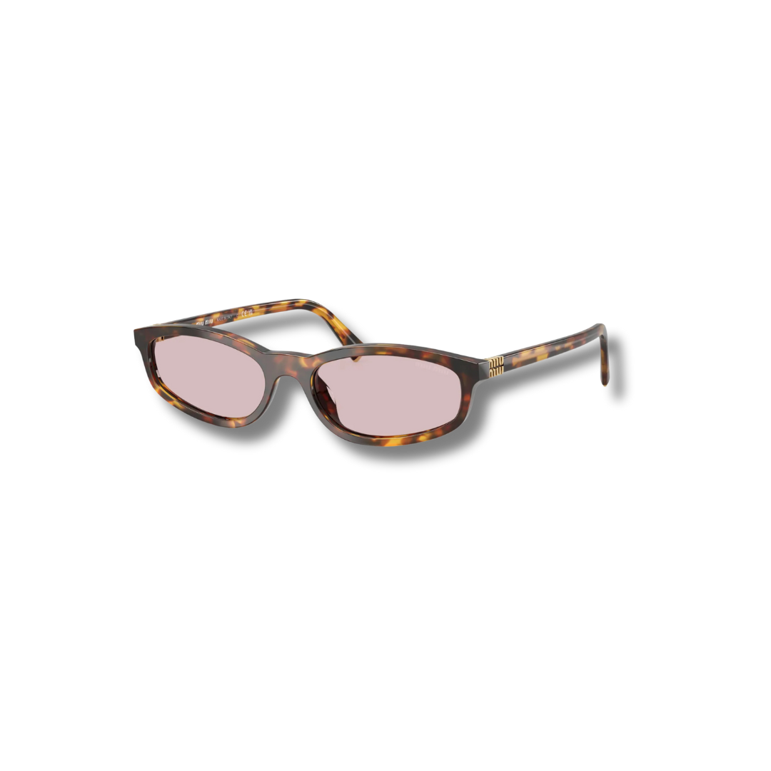 A06S Sunglasses