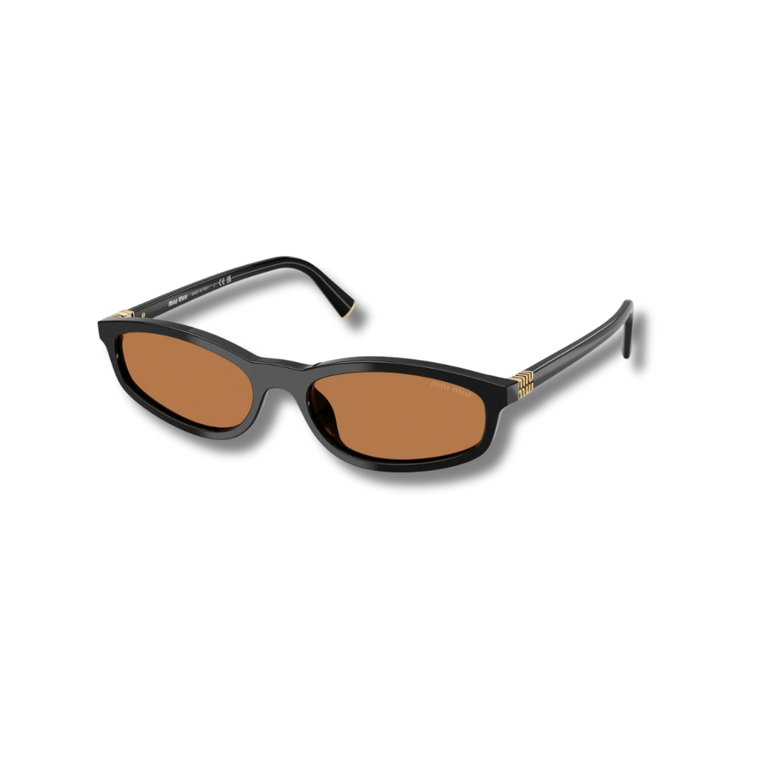 A06S Sunglasses