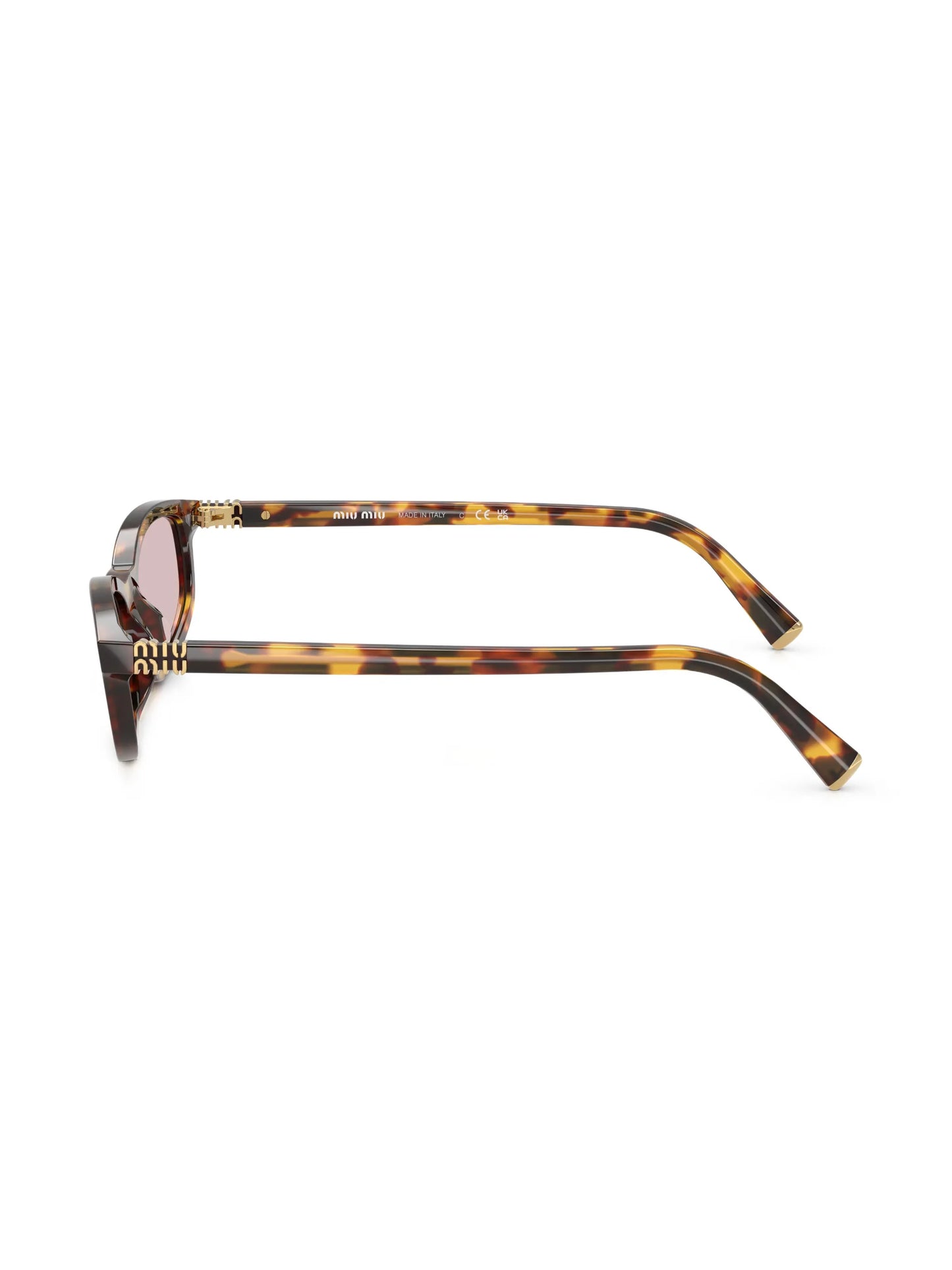 A06S Sunglasses